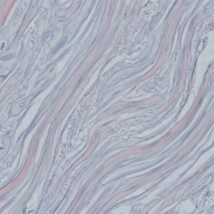 Expression Line Peptides