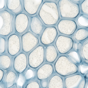 Soothing & Protective Hydration